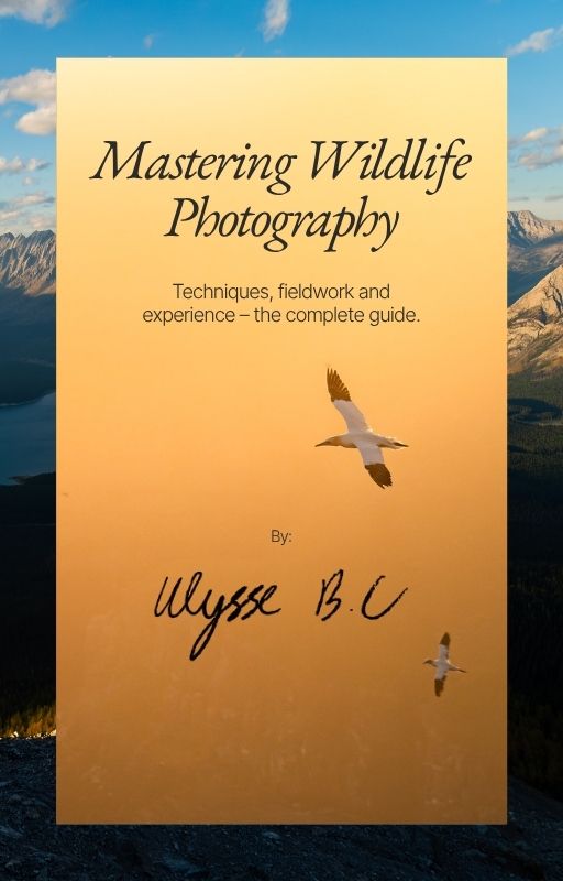 Mastering Wildlife Photography - English Version