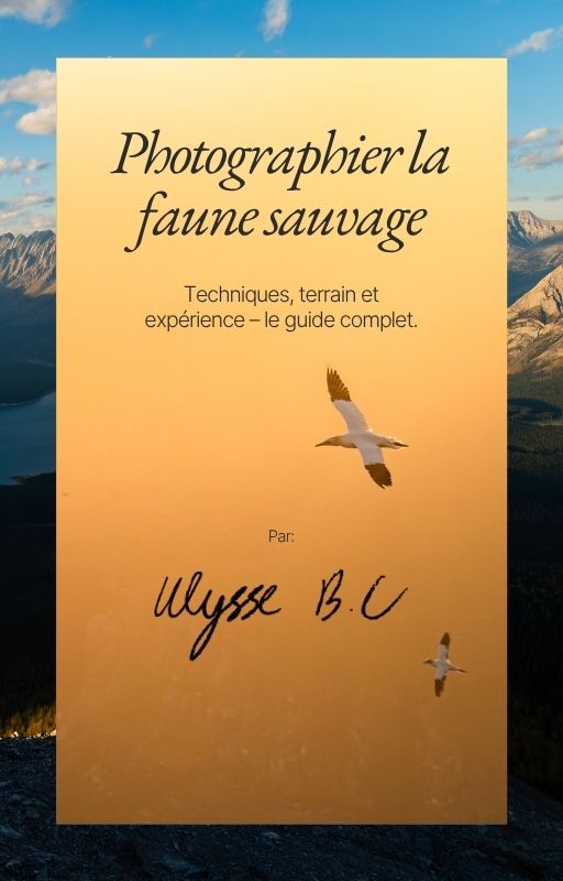 Photographier la faune sauvage - Version Française