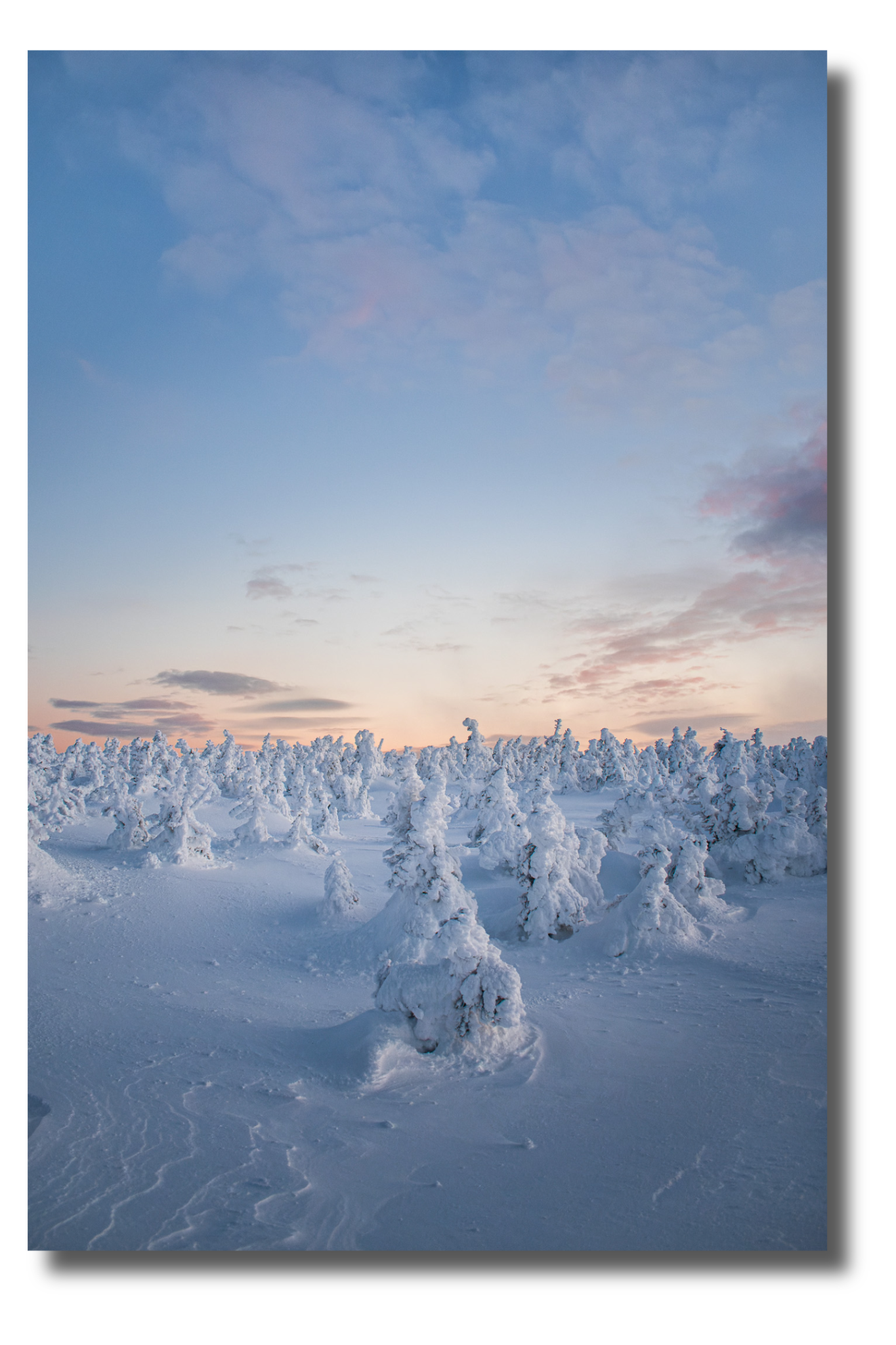 Le royaume des fantômes