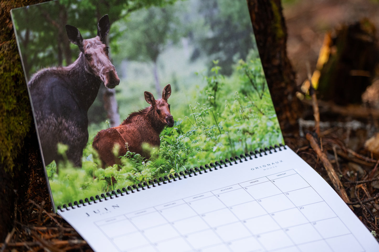 Calendrier 2026 de Nature Sauvage