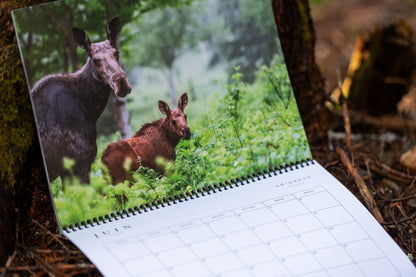 Calendrier 2026 de Nature Sauvage